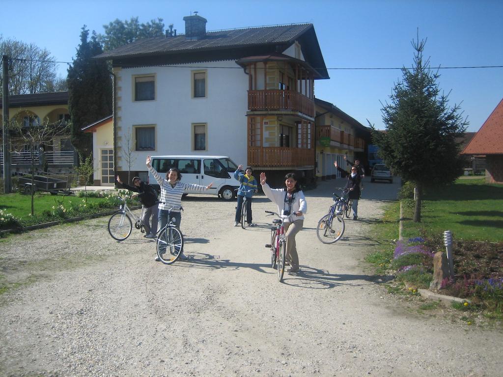 Villa Tourist Farm Salamun Banovci Exterior foto